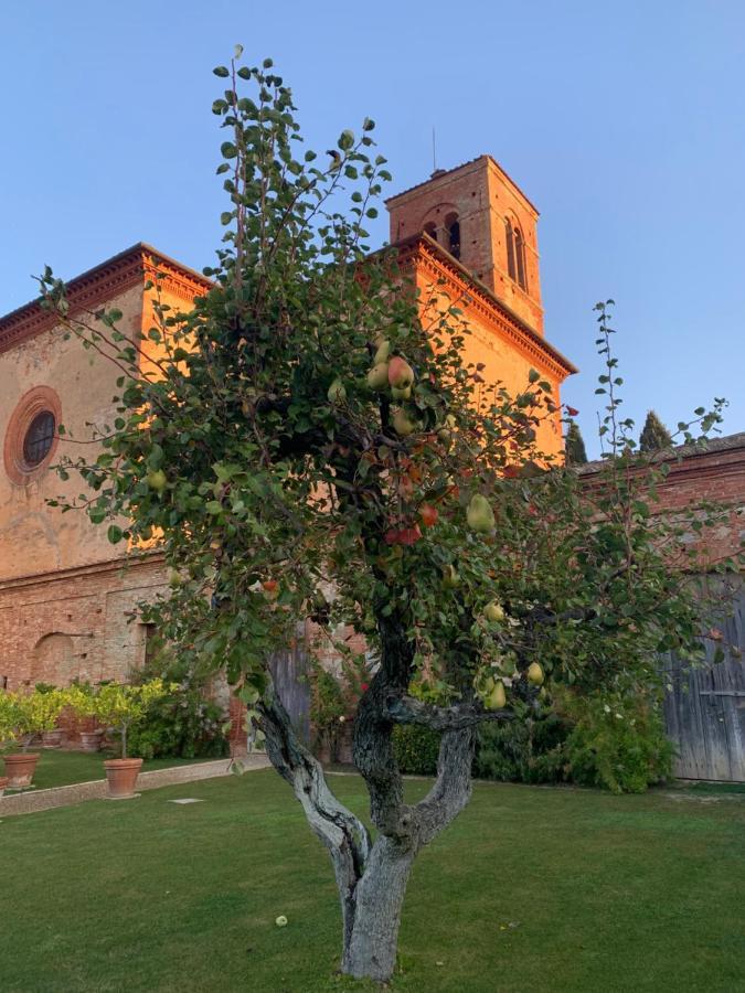 Вілла Fattoria Monastero Sant'Anna In Camprena П'єнца Екстер'єр фото